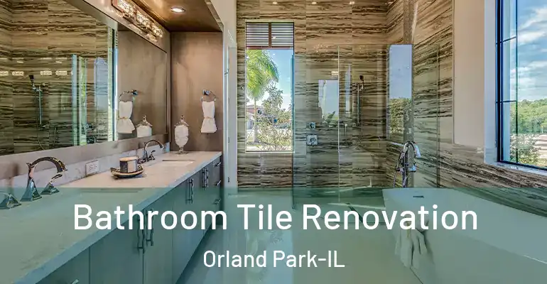inner Bathroom imggen Bathroom Tile Renovation Orland Park-IL