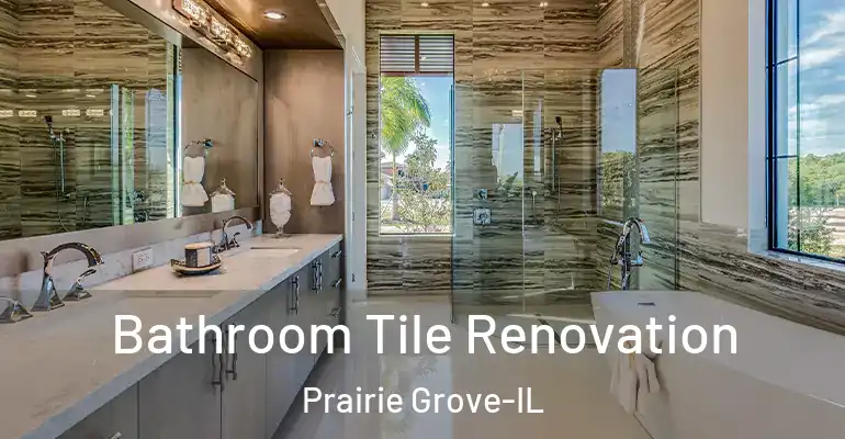 inner Bathroom imggen Bathroom Tile Renovation Prairie Grove-IL
