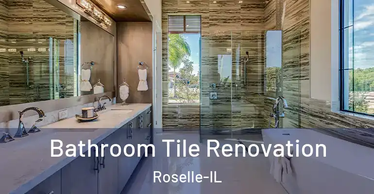 inner Bathroom imggen Bathroom Tile Renovation Roselle-IL