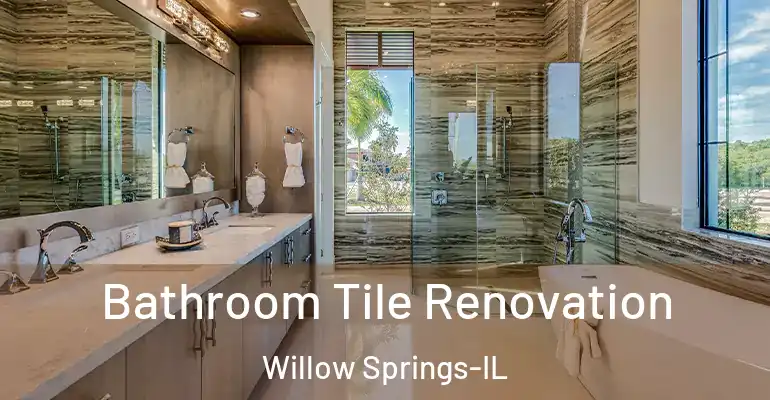 inner Bathroom imggen Bathroom Tile Renovation Willow Springs-IL