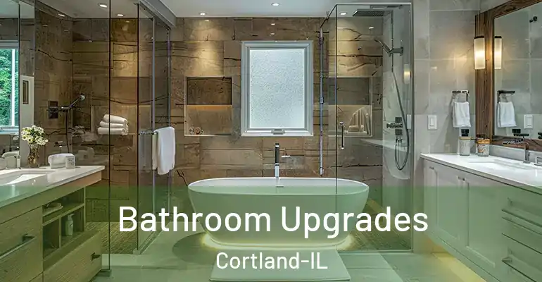 inner Bathroom imggen Bathroom Upgrades Cortland-IL