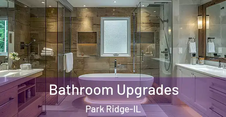 inner Bathroom imggen Bathroom Upgrades Park Ridge-IL