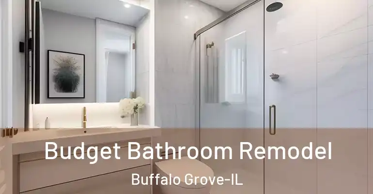inner Bathroom imggen Budget Bathroom Remodel Buffalo Grove-IL