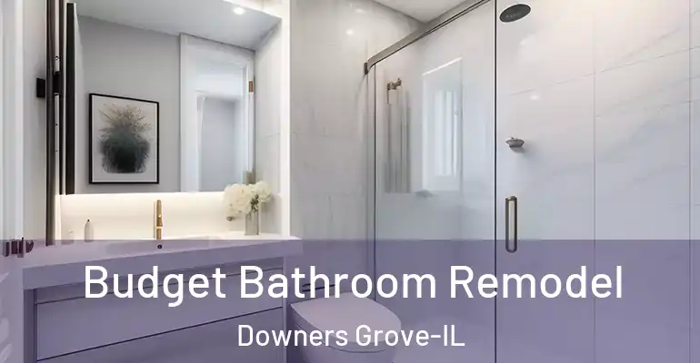inner Bathroom imggen Budget Bathroom Remodel Downers Grove-IL