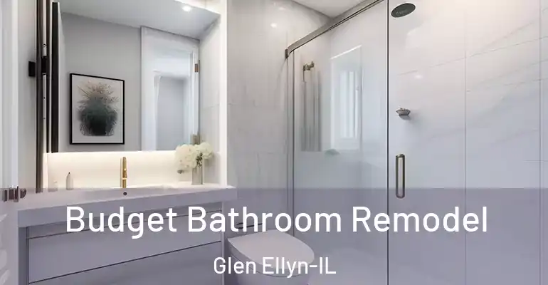 inner Bathroom imggen Budget Bathroom Remodel Glen Ellyn-IL