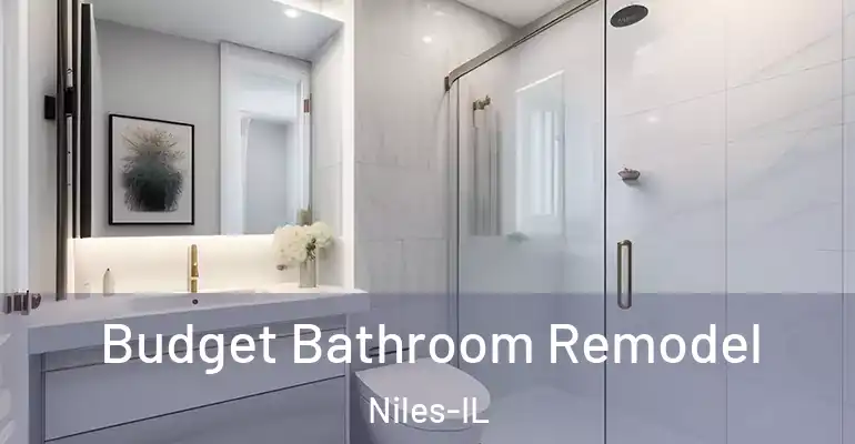 inner Bathroom imggen Budget Bathroom Remodel Niles-IL