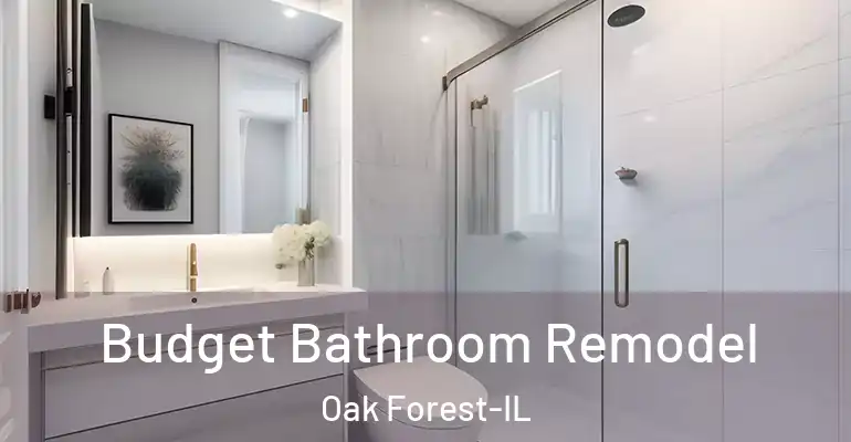inner Bathroom imggen Budget Bathroom Remodel Oak Forest-IL