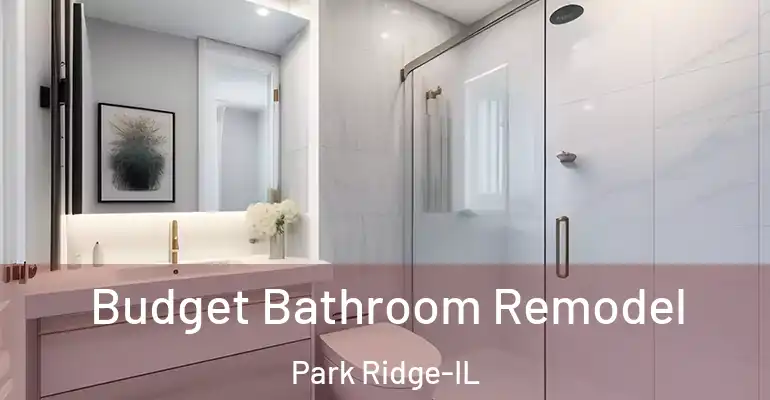 inner Bathroom imggen Budget Bathroom Remodel Park Ridge-IL
