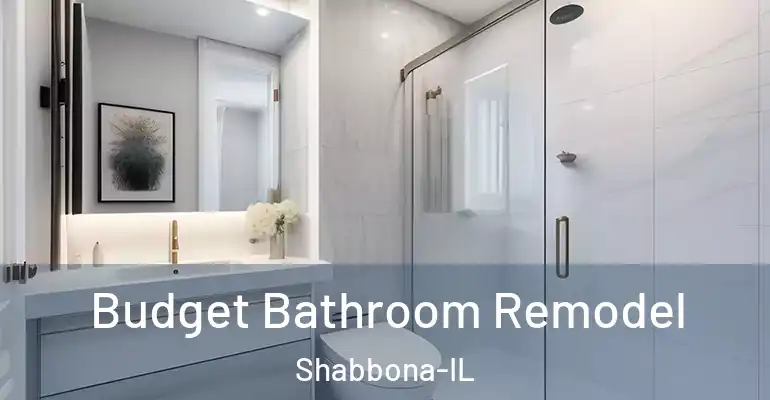 inner Bathroom imggen Budget Bathroom Remodel Shabbona-IL