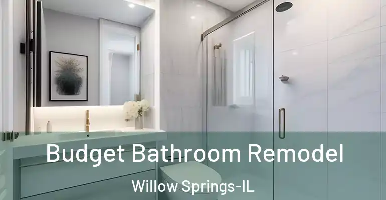 inner Bathroom imggen Budget Bathroom Remodel Willow Springs-IL