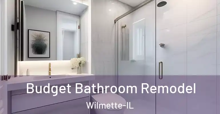 inner Bathroom imggen Budget Bathroom Remodel Wilmette-IL