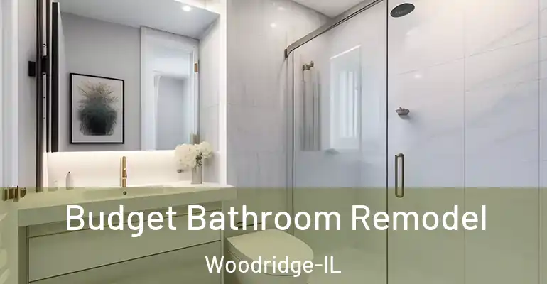 inner Bathroom imggen Budget Bathroom Remodel Woodridge-IL