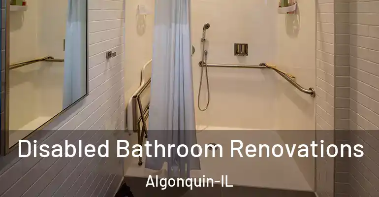 inner Bathroom imggen Disabled Bathroom Renovations Algonquin-IL