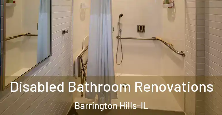 inner Bathroom imggen Disabled Bathroom Renovations Barrington Hills-IL