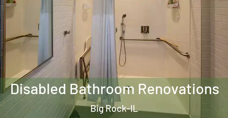 inner Bathroom imggen Disabled Bathroom Renovations Big Rock-IL