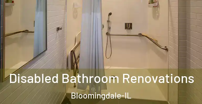 inner Bathroom imggen Disabled Bathroom Renovations Bloomingdale-IL
