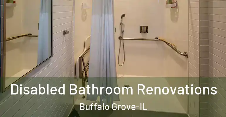 inner Bathroom imggen Disabled Bathroom Renovations Buffalo Grove-IL