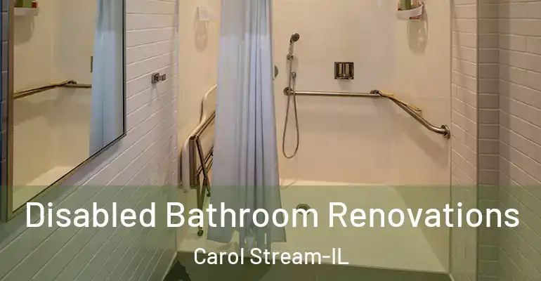 inner Bathroom imggen Disabled Bathroom Renovations Carol Stream-IL