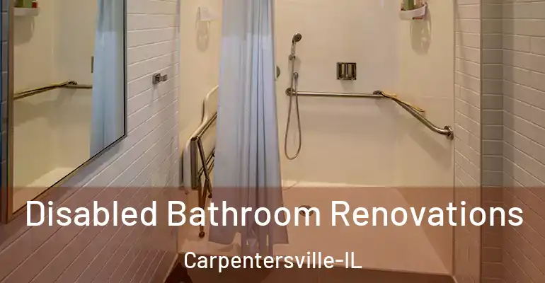 inner Bathroom imggen Disabled Bathroom Renovations Carpentersville-IL