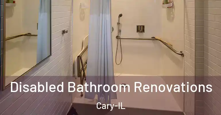 inner Bathroom imggen Disabled Bathroom Renovations Cary-IL