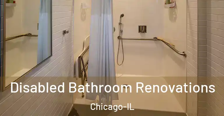 inner Bathroom imggen Disabled Bathroom Renovations Chicago-IL