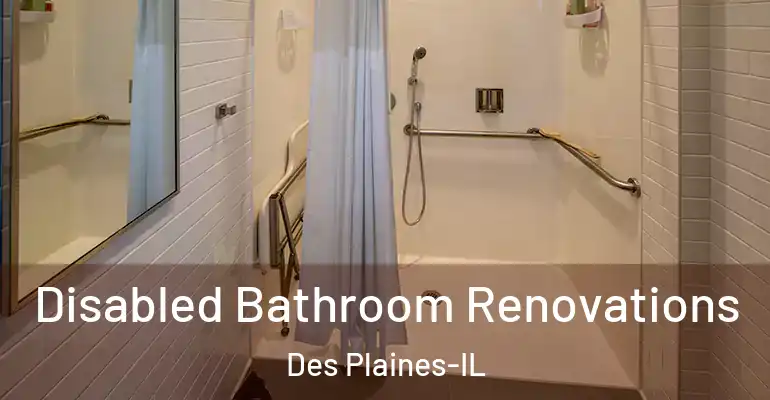 inner Bathroom imggen Disabled Bathroom Renovations Des Plaines-IL
