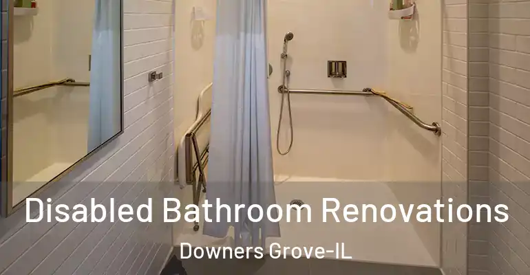 inner Bathroom imggen Disabled Bathroom Renovations Downers Grove-IL