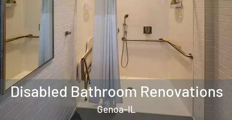 inner Bathroom imggen Disabled Bathroom Renovations Genoa-IL