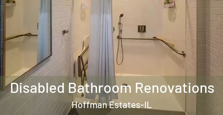 inner Bathroom imggen Disabled Bathroom Renovations Hoffman Estates-IL