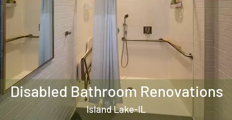 inner Bathroom imggen Disabled Bathroom Renovations Island Lake-IL
