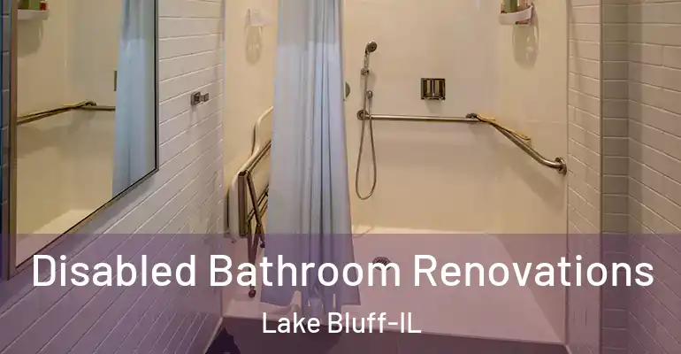 inner Bathroom imggen Disabled Bathroom Renovations Lake Bluff-IL