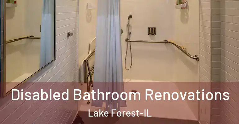 inner Bathroom imggen Disabled Bathroom Renovations Lake Forest-IL