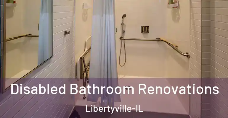 inner Bathroom imggen Disabled Bathroom Renovations Libertyville-IL