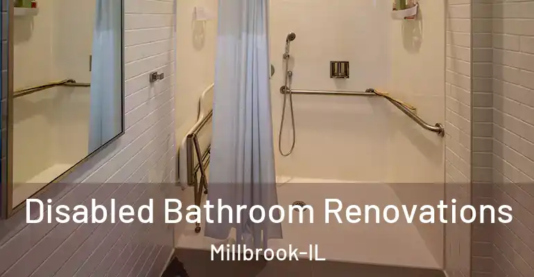 inner Bathroom imggen Disabled Bathroom Renovations Millbrook-IL