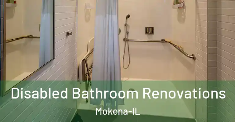 inner Bathroom imggen Disabled Bathroom Renovations Mokena-IL
