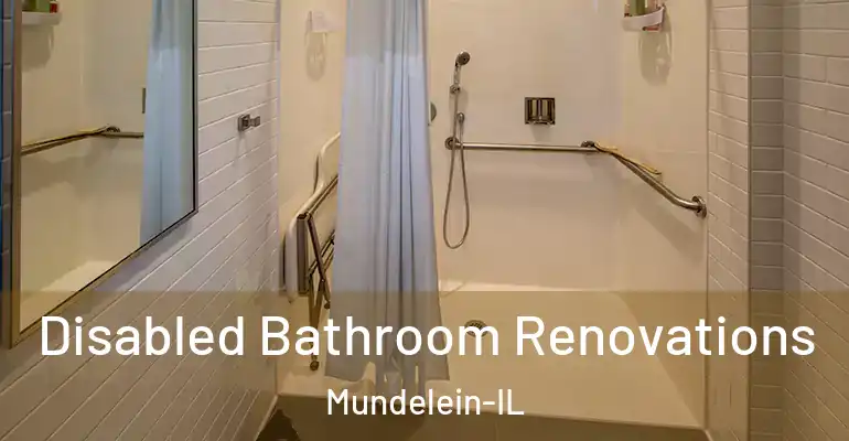 inner Bathroom imggen Disabled Bathroom Renovations Mundelein-IL