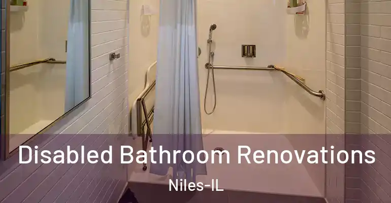 inner Bathroom imggen Disabled Bathroom Renovations Niles-IL