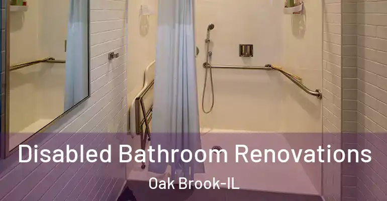 inner Bathroom imggen Disabled Bathroom Renovations Oak Brook-IL