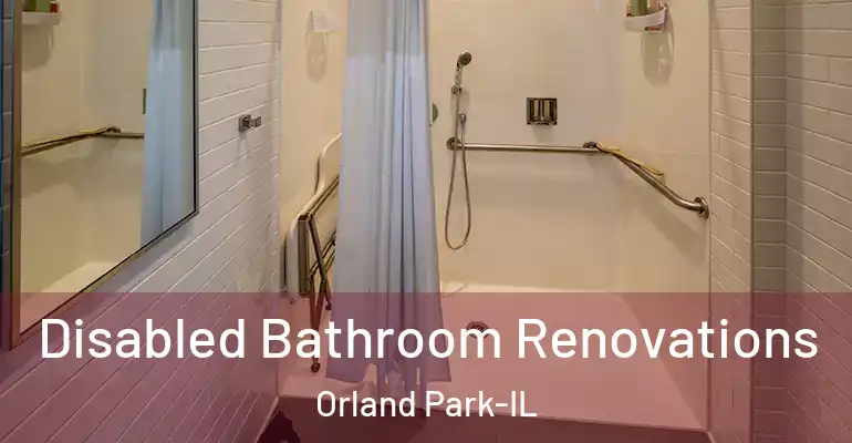 inner Bathroom imggen Disabled Bathroom Renovations Orland Park-IL