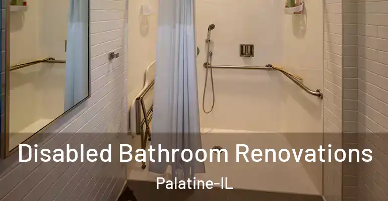 inner Bathroom imggen Disabled Bathroom Renovations Palatine-IL