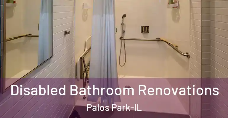 inner Bathroom imggen Disabled Bathroom Renovations Palos Park-IL