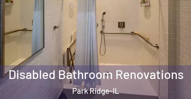 inner Bathroom imggen Disabled Bathroom Renovations Park Ridge-IL