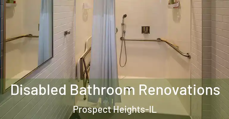 inner Bathroom imggen Disabled Bathroom Renovations Prospect Heights-IL