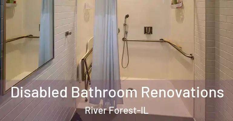 inner Bathroom imggen Disabled Bathroom Renovations River Forest-IL