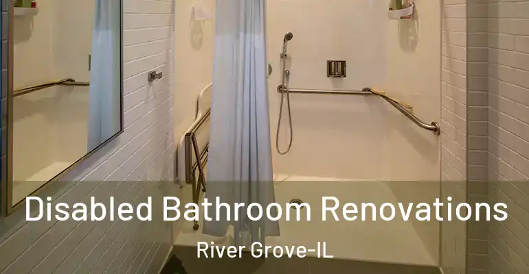 inner Bathroom imggen Disabled Bathroom Renovations River Grove-IL