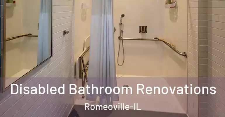 inner Bathroom imggen Disabled Bathroom Renovations Romeoville-IL