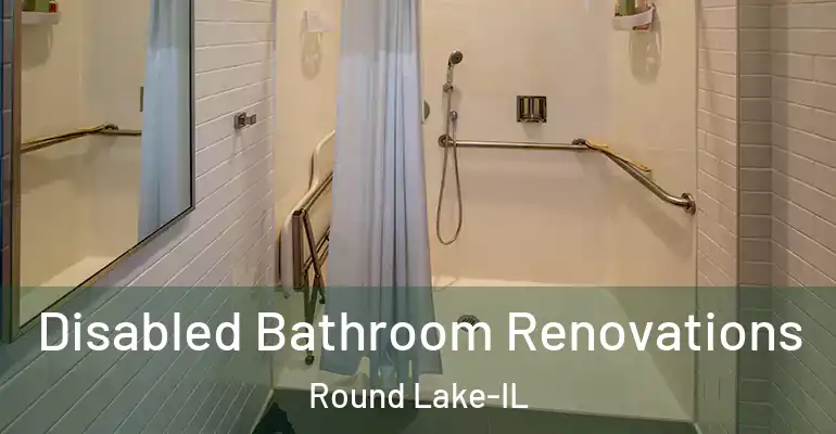 inner Bathroom imggen Disabled Bathroom Renovations Round Lake-IL