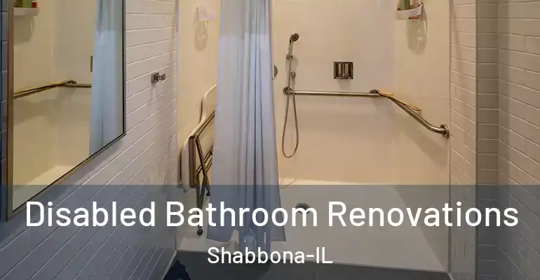 inner Bathroom imggen Disabled Bathroom Renovations Shabbona-IL