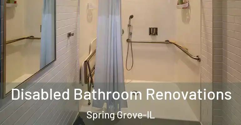 inner Bathroom imggen Disabled Bathroom Renovations Spring Grove-IL