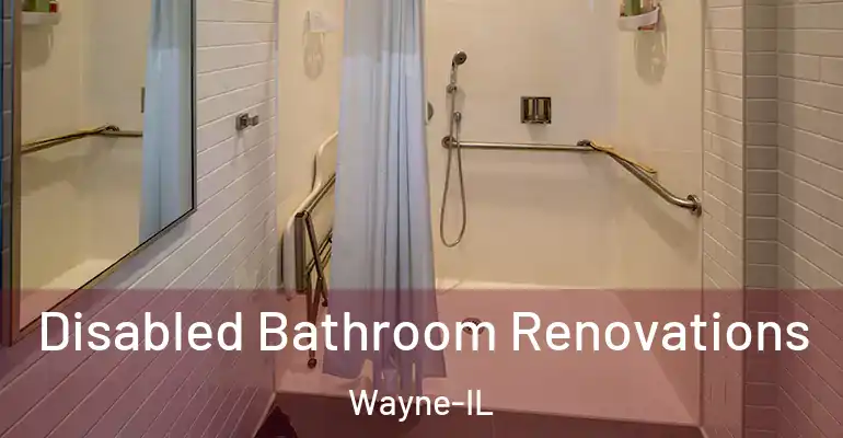 inner Bathroom imggen Disabled Bathroom Renovations Wayne-IL